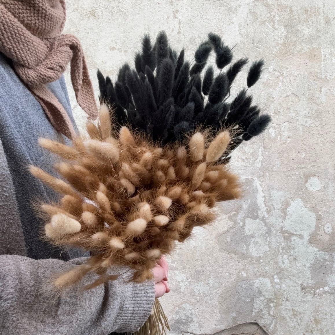 Lagurus