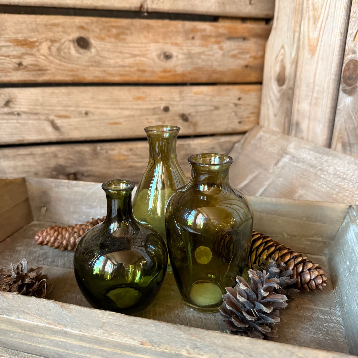 Glasvasen-Set in Grün (3-teilig)
