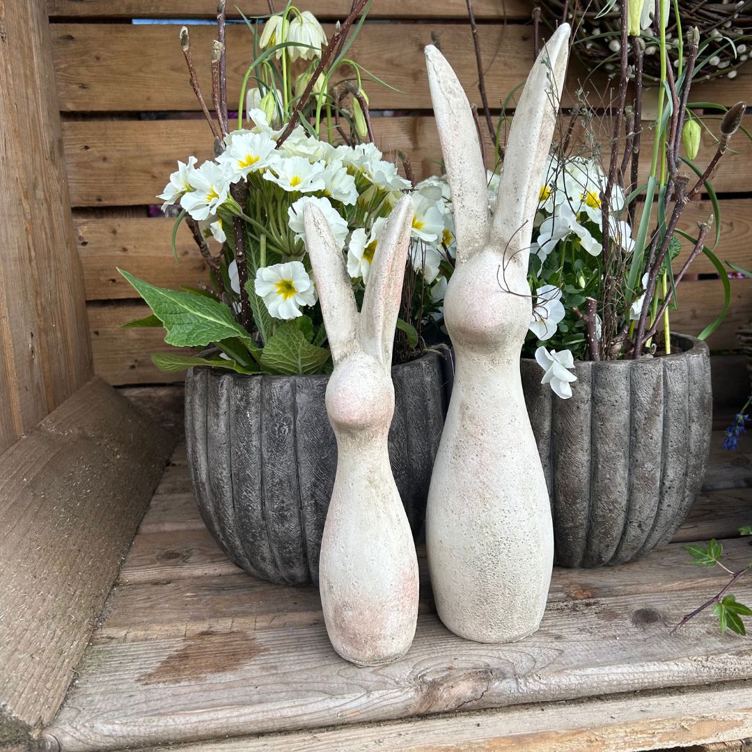 Beton-Hase mit langen Ohren