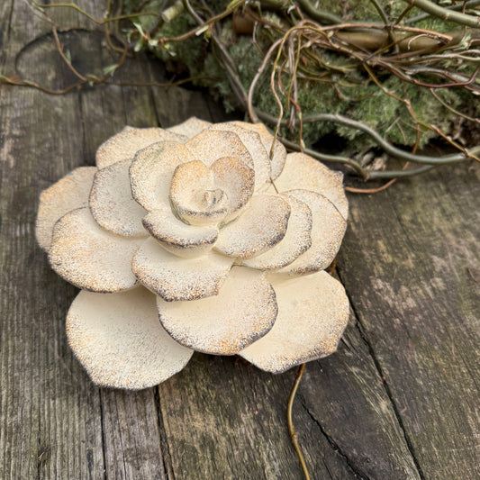 Zementblüte