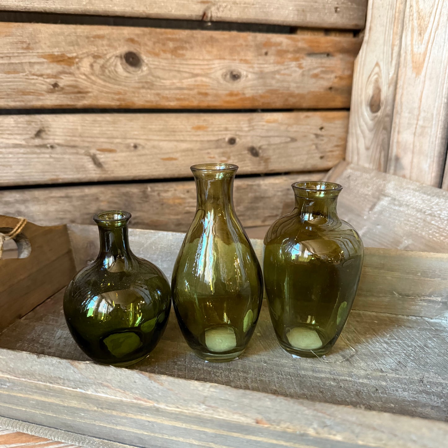 Glasvasen-Set in Grün (3-teilig)