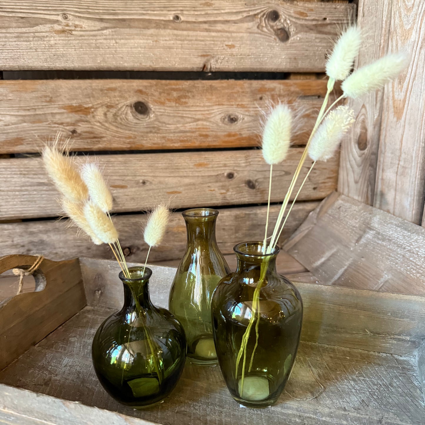 Glasvasen-Set in Grün (3-teilig)